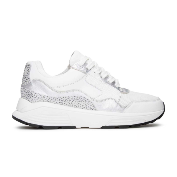 Xsensible - Golden Gate